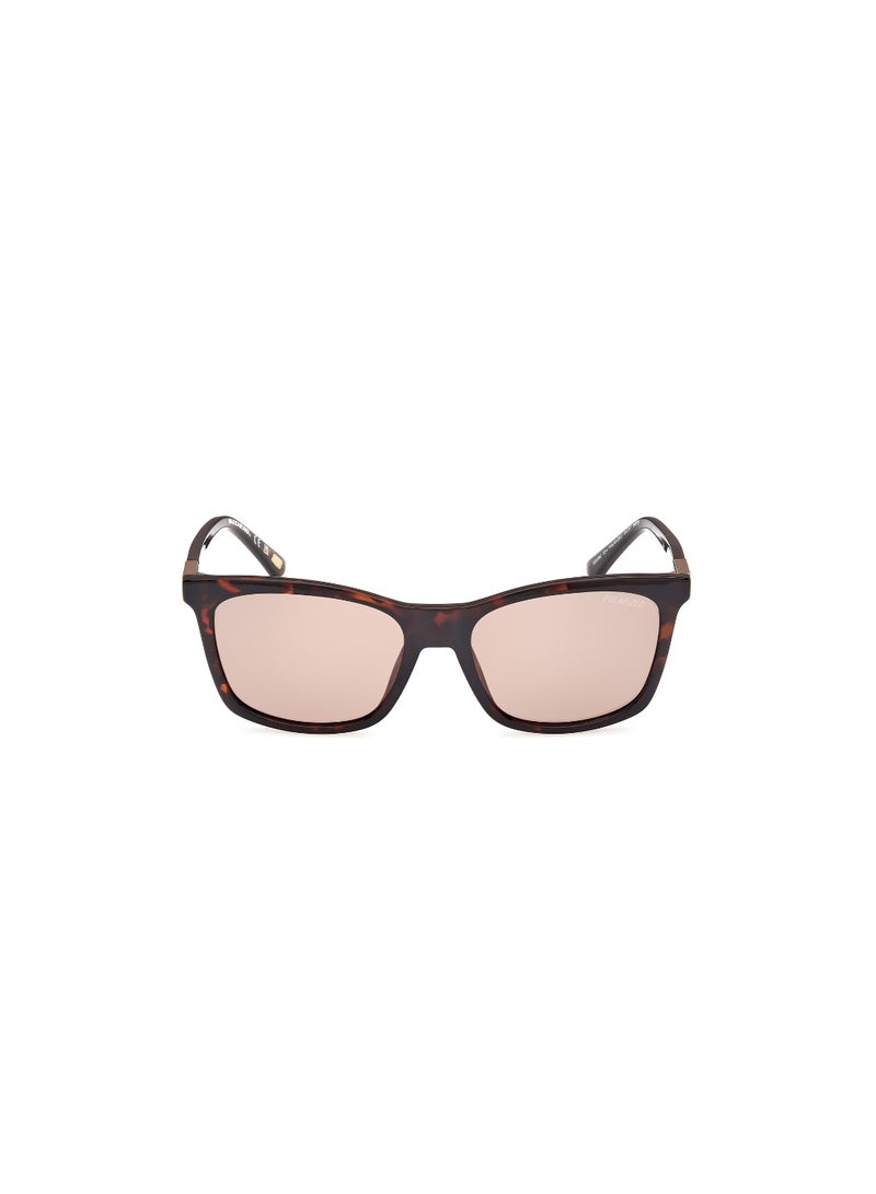SKECHERS Women's Square Shape  Sunglasses SE636052H54 Lens Size: 54 Millimeter - Dark Havana - Image 2